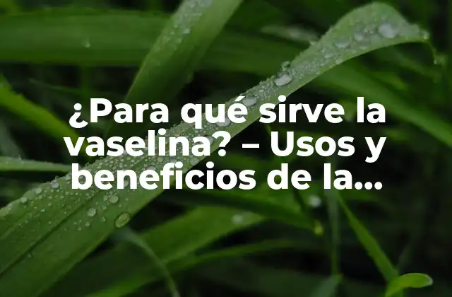 ¿para Qué Sirve la Vaselina? – Usos y Beneficios de la Vaselina