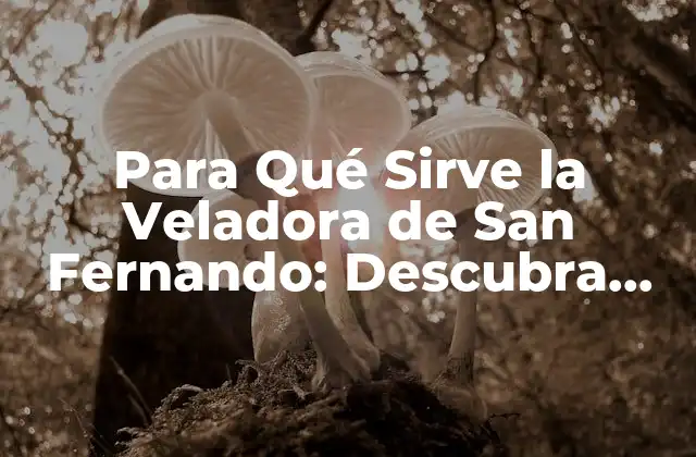 Para Qué Sirve la Veladora de San Fernando: Descubra Sus Propósitos y Significados