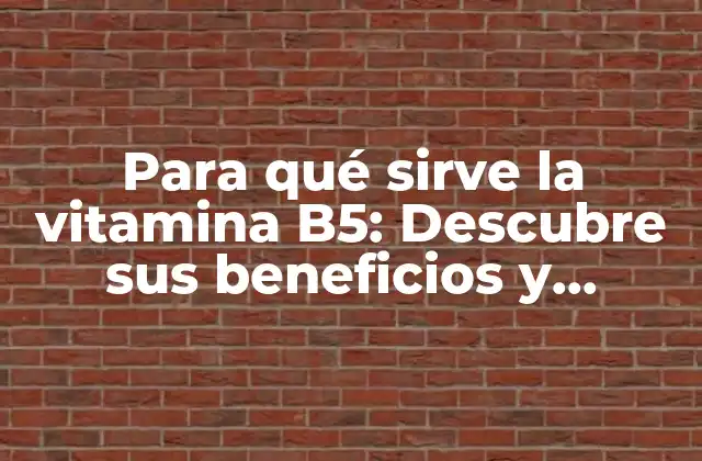 Para Qué Sirve la Vitamina B5: Descubre Sus Beneficios y Aplicaciones