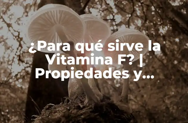 ¿para Qué Sirve la Vitamina F? | Propiedades y Beneficios