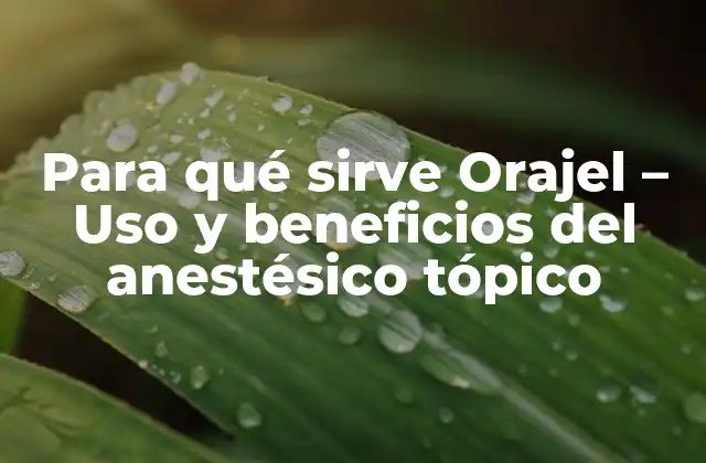 Para Qué Sirve Orajel – Uso y Beneficios Del Anestésico Tópico