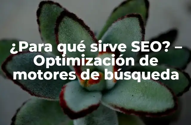 ¿para Qué Sirve Seo? – Optimización de Motores de Búsqueda