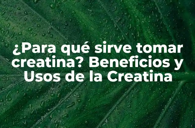¿para Qué Sirve Tomar Creatina? Beneficios y Usos de la Creatina 2 ¿Cómo funciona la Creatina en el Cuerpo?