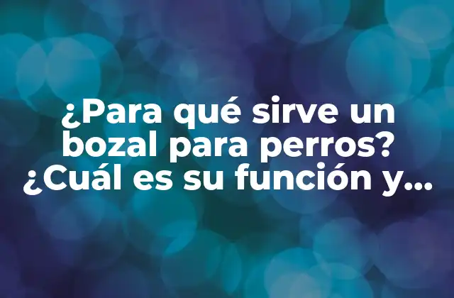 ¿para Qué Sirve un Bozal para Perros? ¿cuál es Su Función y Beneficios?