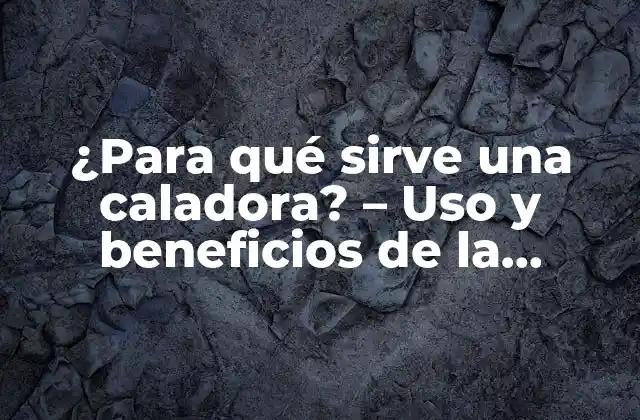 ¿para Qué Sirve una Caladora? – Uso y Beneficios de la Caladora en Diferentes Áreas