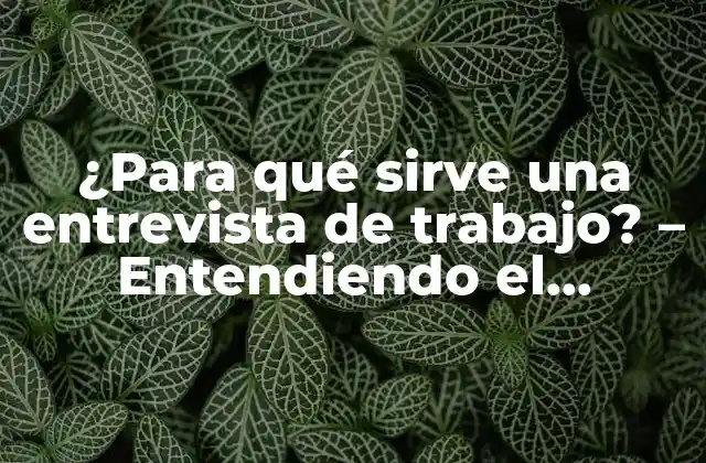¿para Qué Sirve una Entrevista de Trabajo? – Entendiendo el Proceso de Selección