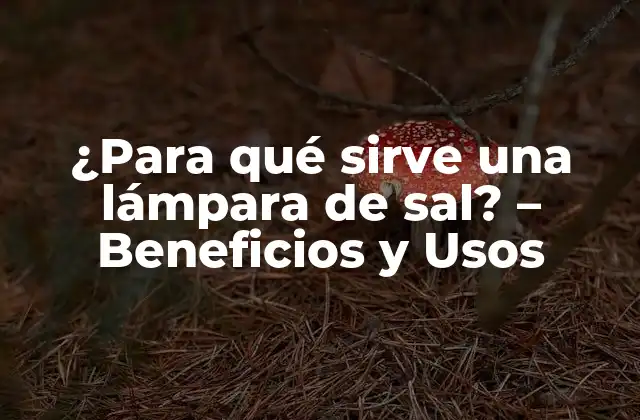 ¿para Qué Sirve una Lámpara de Sal? – Beneficios y Usos