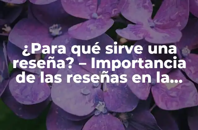 ¿para Qué Sirve una Reseña? – Importancia de las Reseñas en la Toma de Decisiones