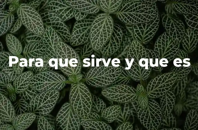 Para que Sirve y que es