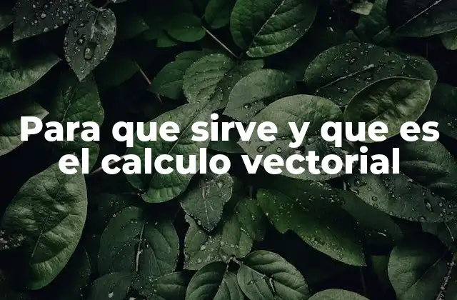 Para que Sirve y que es el Calculo Vectorial
