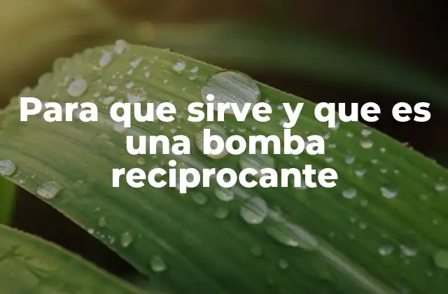 Para que Sirve y que es una Bomba Reciprocante 2 Tipos de bombas reciprocantes y sus características