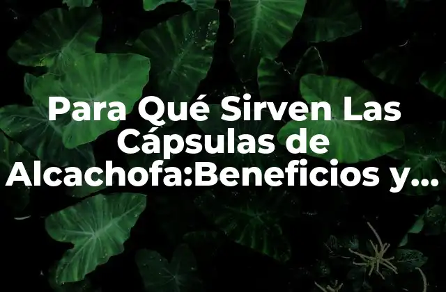 Para Qué Sirven las Cápsulas de Alcachofa:beneficios y Usos