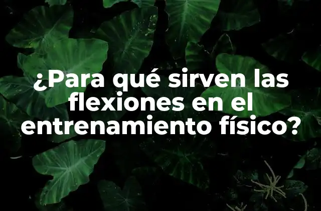 Tipos de flexiones