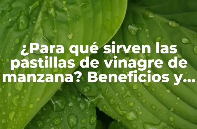 ¿para Qué Sirven las Pastillas de Vinagre de Manzana? Beneficios y Usos