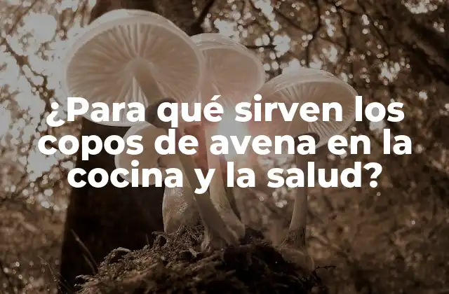 ¿para Qué Sirven los Copos de Avena en la Cocina y la Salud?