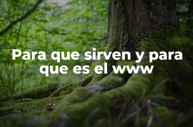 Para que Sirven y para que es el Www