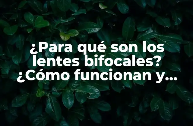 ¿para Qué Son los Lentes Bifocales? ¿cómo Funcionan y Qué Ventajas Ofrecen?