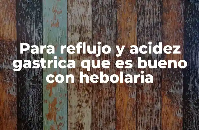 Para Reflujo y Acidez Gastrica que es Bueno con Hebolaria