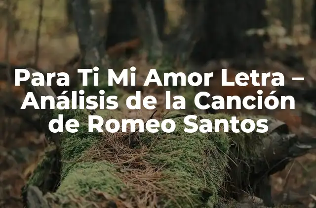 Para Ti Mi Amor Letra - Análisis de la Canción de Romeo Santos 2 El arte de la bachata