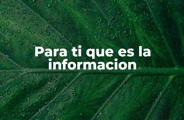 Para Ti que es la Informacion