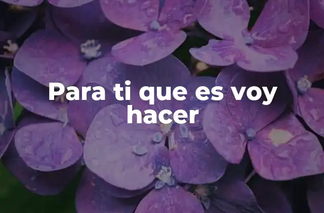 Para Ti que es Voy Hacer