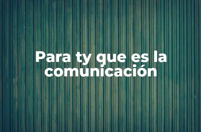 Para Ty que es la Comunicación