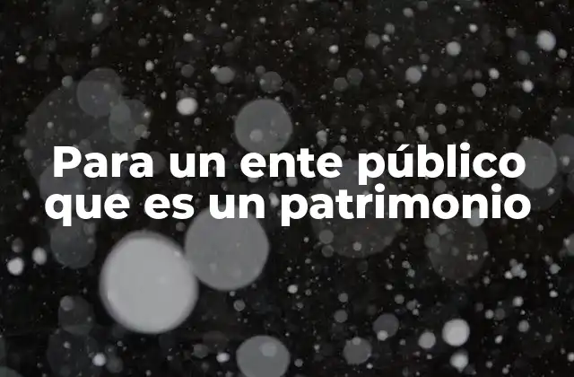 Para un Ente Público que es un Patrimonio
