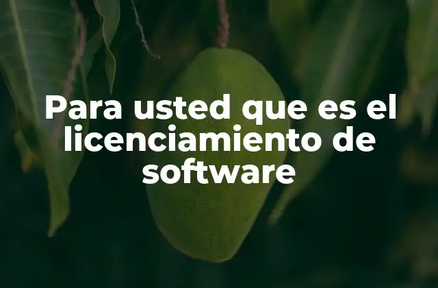 Para Usted que es el Licenciamiento de Software 2 El papel del licenciamiento en el mundo digital