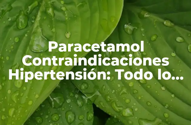 ¿Qué es la Hipertensión y Cómo Afecta a la Salud?