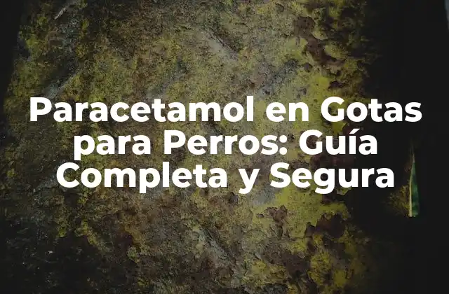 Paracetamol en Gotas para Perros: Guía Completa y Segura