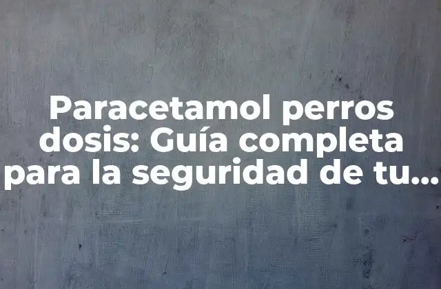 Paracetamol Perros Dosis: Guía Completa para la Seguridad de Tu Mascota