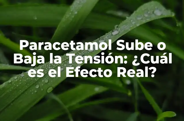 Paracetamol Sube o Baja la Tensión: ¿cuál es el Efecto Real?