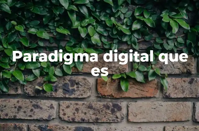 Paradigma Digital que es
