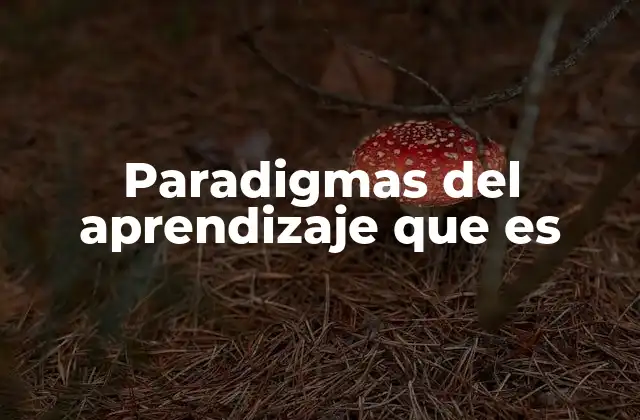 Paradigmas Del Aprendizaje que es