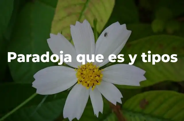 Paradoja que es y Tipos
