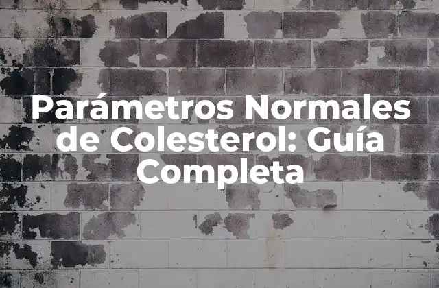 Parámetros Normales de Colesterol: Guía Completa