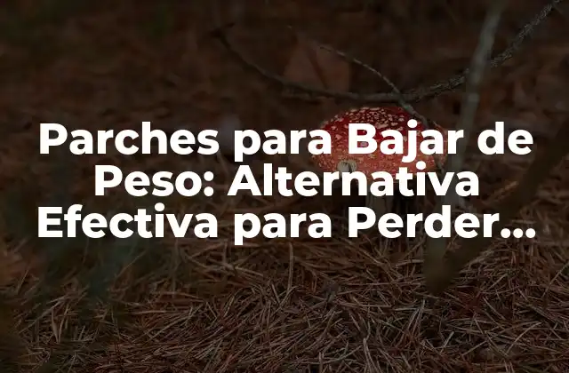 Parches para Bajar de Peso: Alternativa Efectiva para Perder Peso 2 ¿Qué son los Parches para Bajar de Peso?
