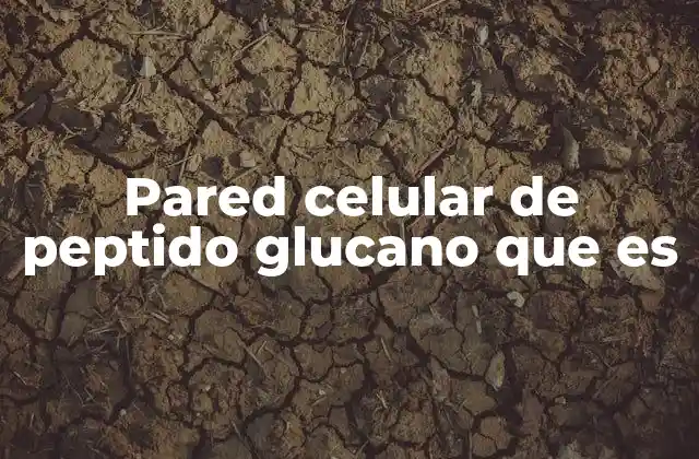 Pared Celular de Peptido Glucano que es