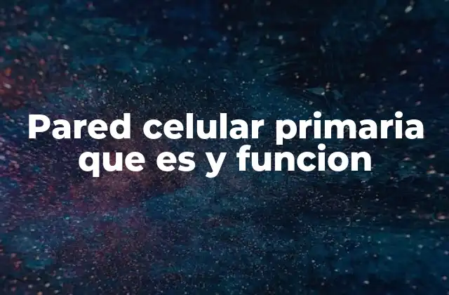 Pared Celular Primaria que es y Funcion