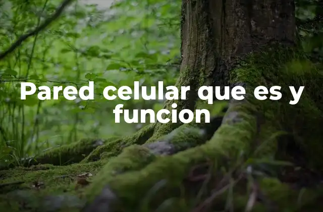 La importancia de la pared celular en la biología vegetal