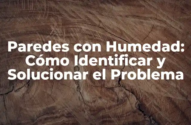 Causas de las Paredes con Humedad