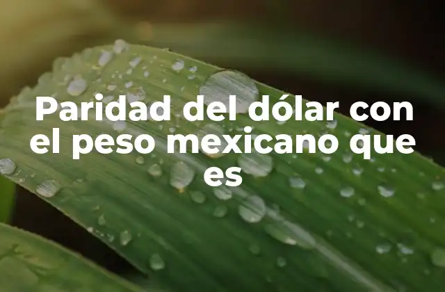 Paridad Del Dólar con el Peso Mexicano que es