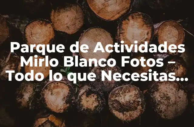 Parque de Actividades Mirlo Blanco Fotos – Todo Lo que Necesitas Saber