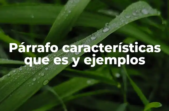 Párrafo Características que es y Ejemplos