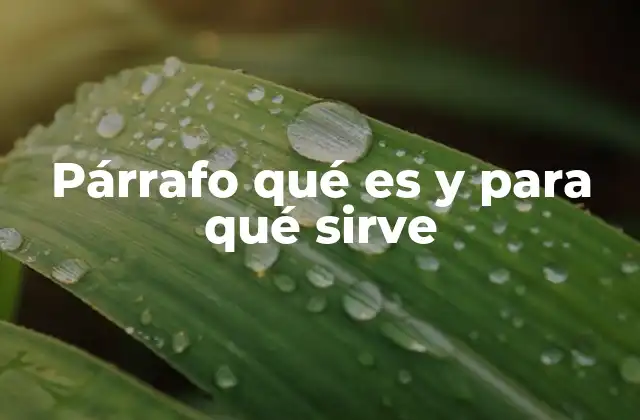 Párrafo Qué es y para Qué Sirve 2 La importancia de los párrafos en la escritura