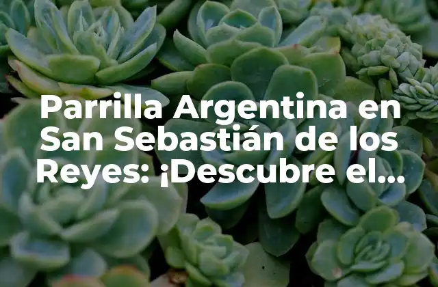 Parrilla Argentina en San Sebastián de los Reyes: ¡descubre el Sabor Auténtico!