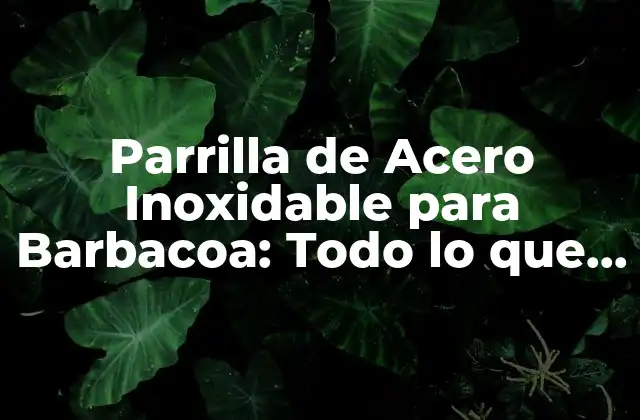Parrilla de Acero Inoxidable para Barbacoa: Todo Lo que Necesitas Saber