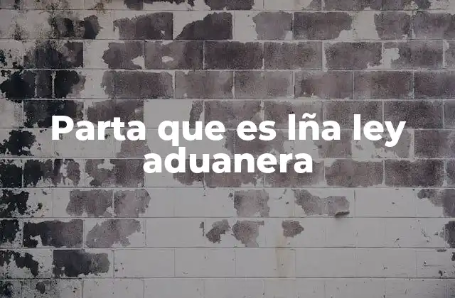 Parta que es Lña Ley Aduanera