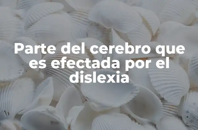 Parte Del Cerebro que es Efectada por el Dislexia