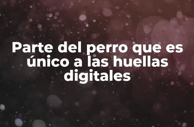 Parte Del Perro que es Único a las Huellas Digitales